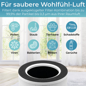 Luftreiniger 300i - HEPA Filter H13