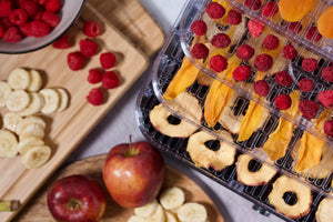 Dörrautomat mit getrockneten Früchten wie Äpfeln, Bananen und Himbeeren auf den Dörrgittern.