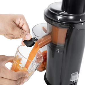 Slow Juicer