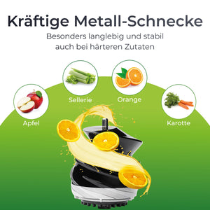 Slow Juicer
